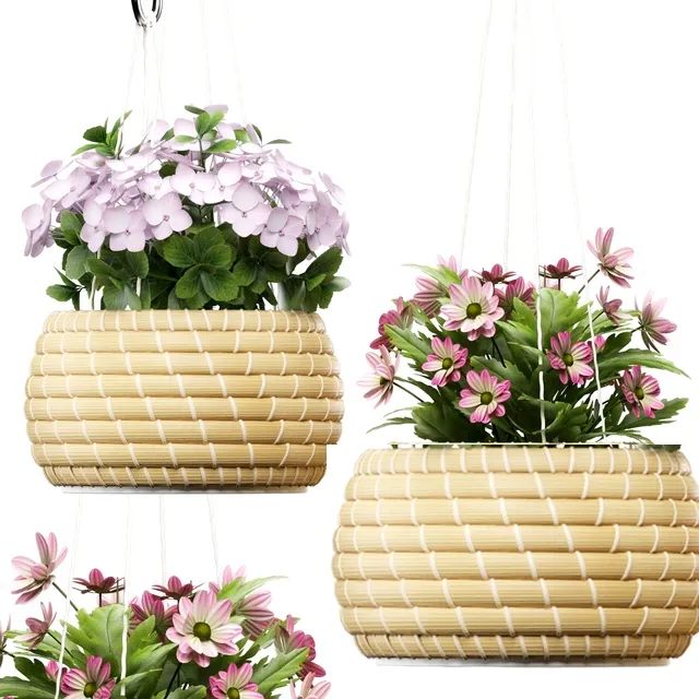 decoration - Plants 141 3D Model