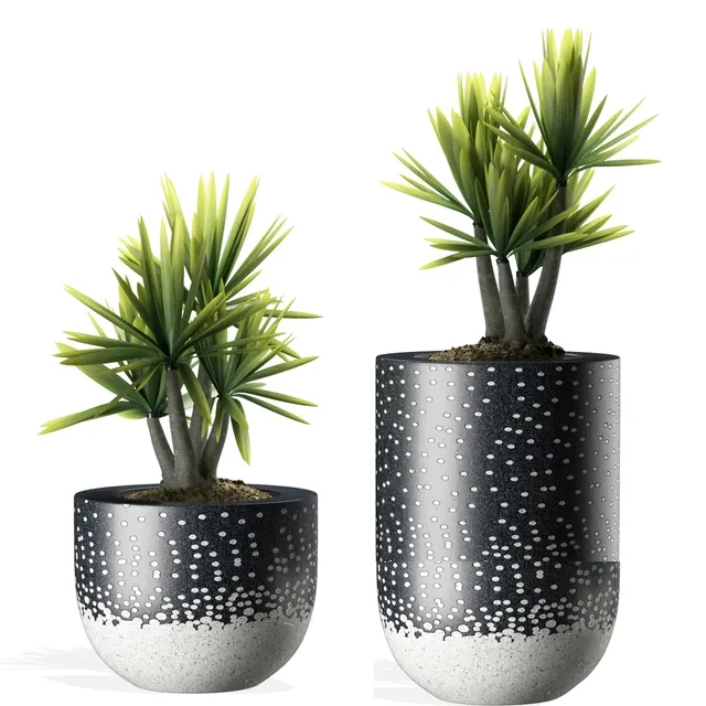 decoration - Plants 142 3D Model