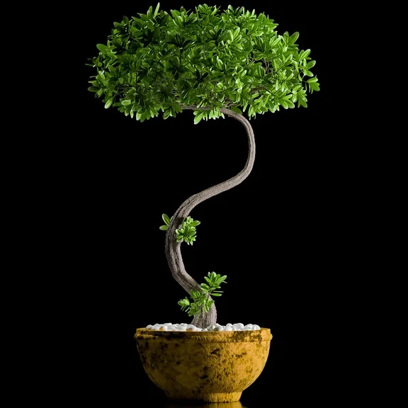 decoration - Plants 146 3D Model