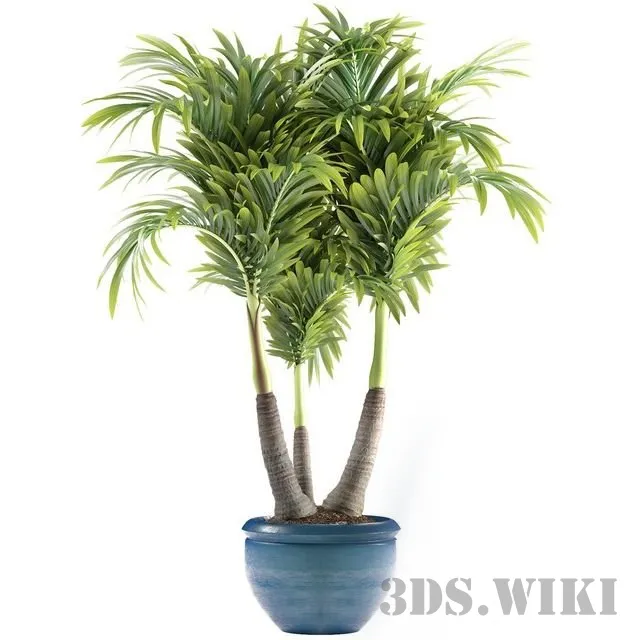 decoration - PLANTS 148 3D Model
