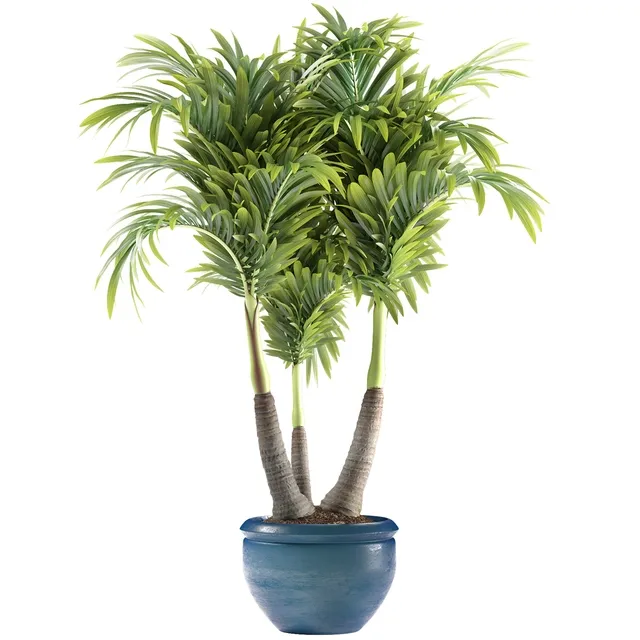 decoration - Plants 148 3D Model