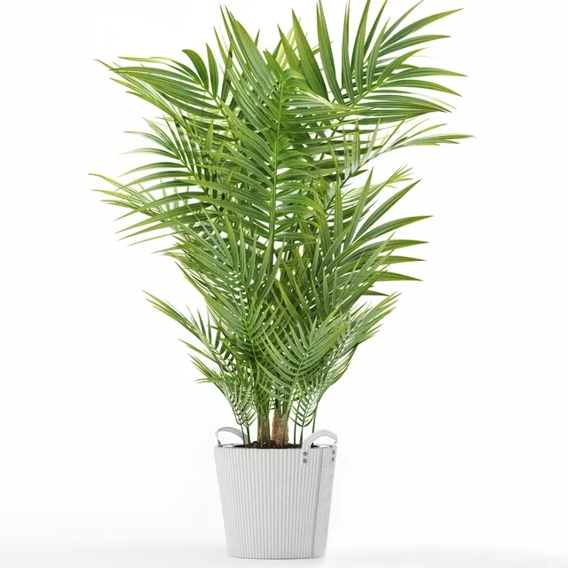 decoration - Plants 149 3D Model