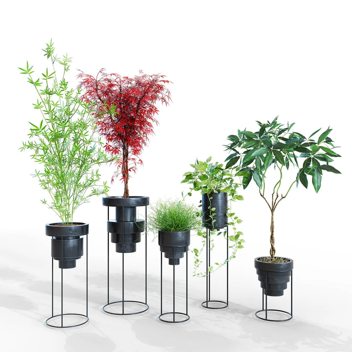 decoration - Plants 15 3D Model