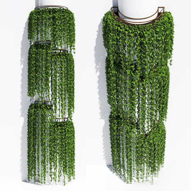 decoration - Plants 15 3D Model