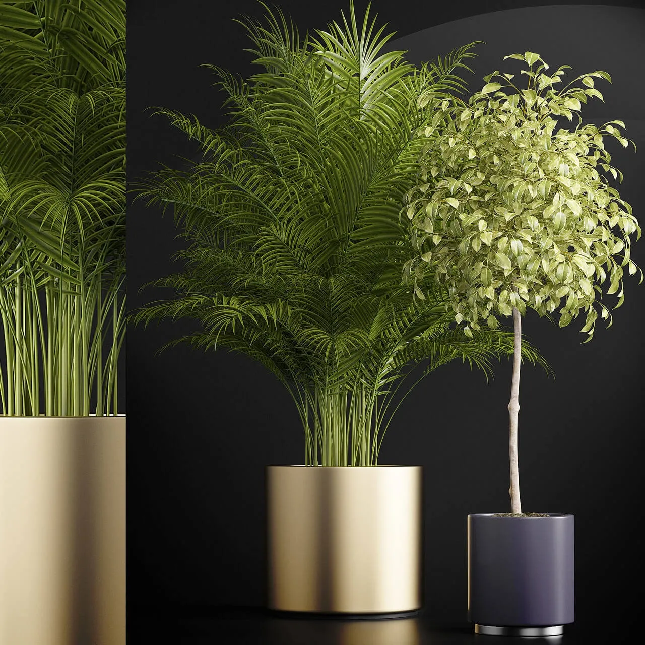 decoration - Plants 152 3D Model