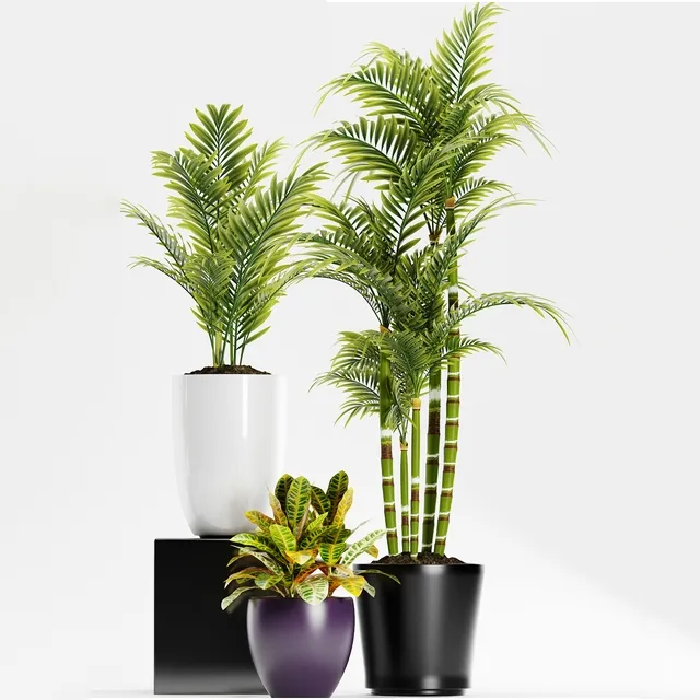decoration - Plants 158 3D Model