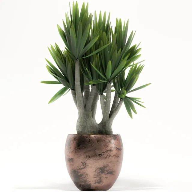 decoration - Plants 161 3D Model