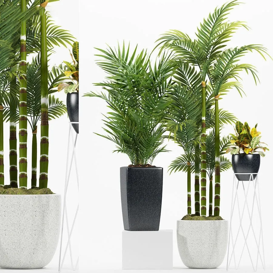 decoration - Plants 174 3D Model