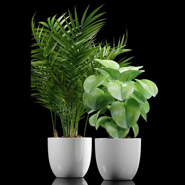 decoration - Plants 177 3D Model