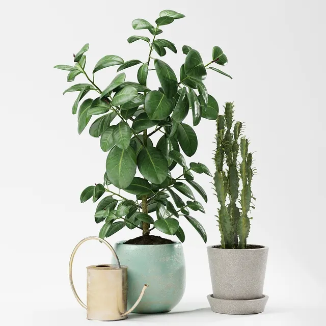 decoration - Plants 186 3D Model