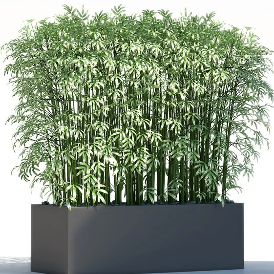 decoration - Plants 189 3D Model