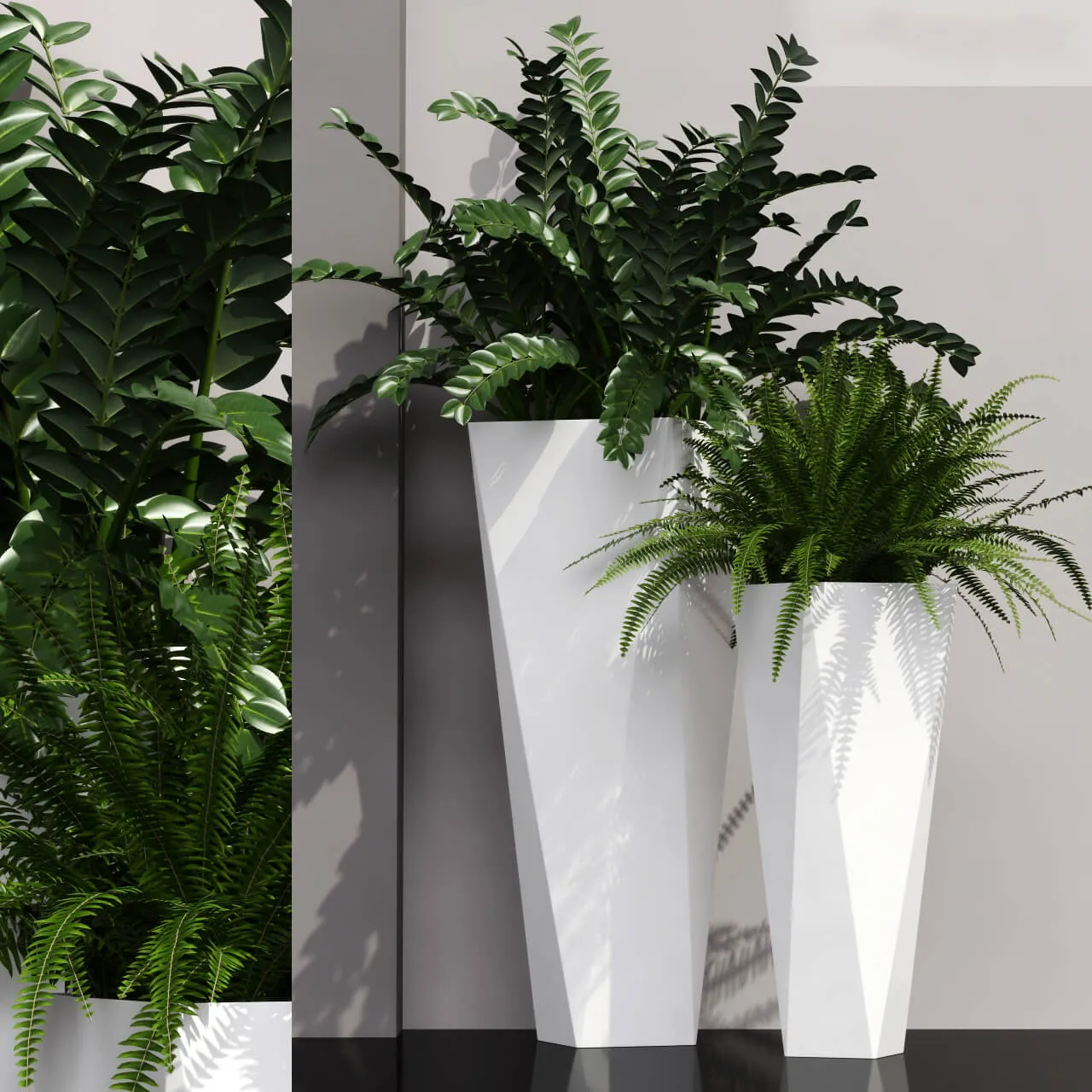 decoration - Plants 19 3D Model