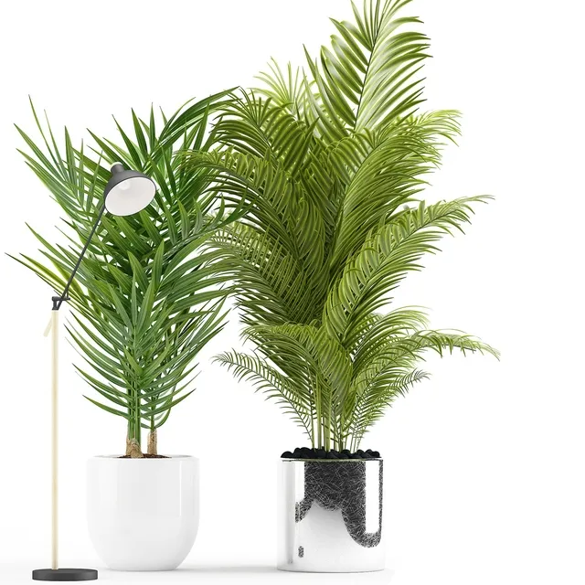 decoration - Plants 191 3D Model