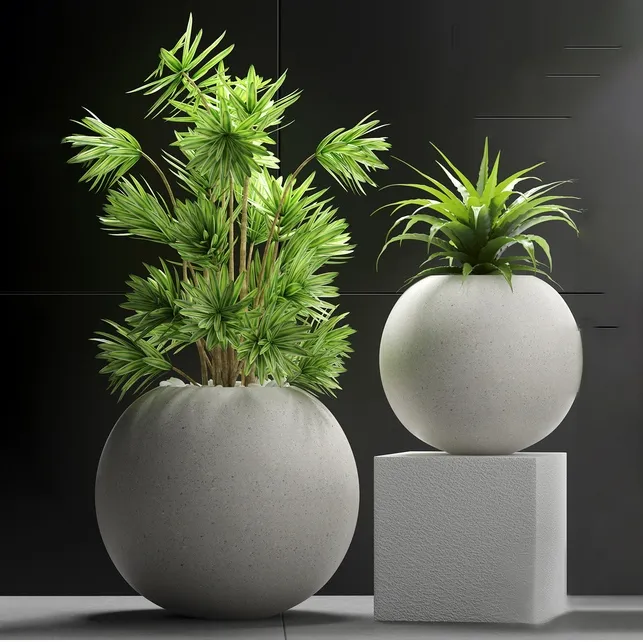 decoration - Plants 196 3D Model