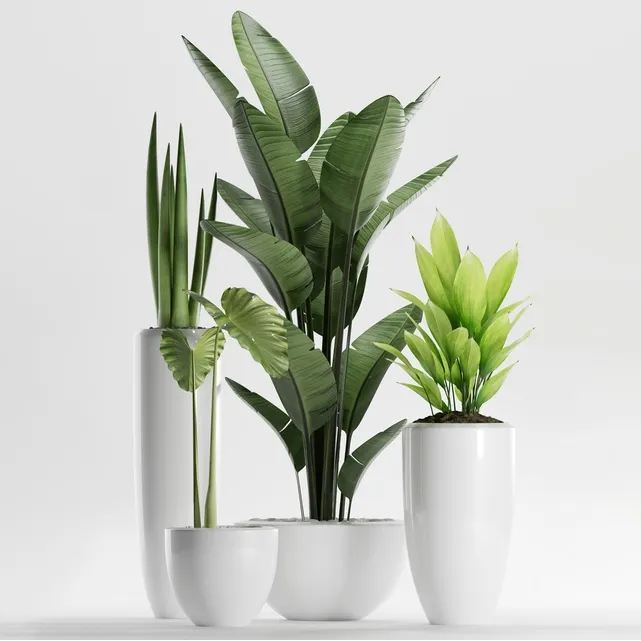 decoration - Plants 199 3D Model