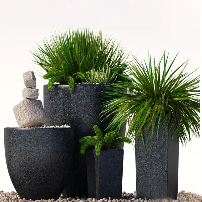 decoration - Plants 202 3D Model