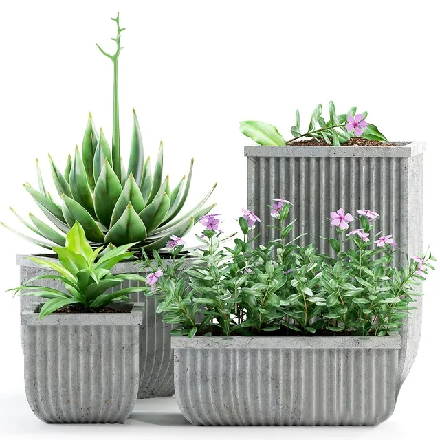 decoration - Plants 209 3D Model