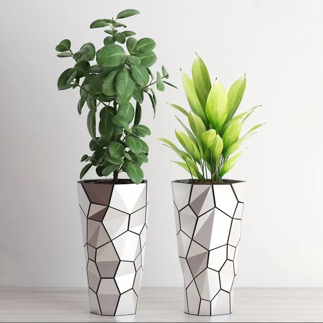 decoration - Plants 210 3D Model