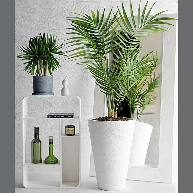 decoration - Plants 213 3D Model