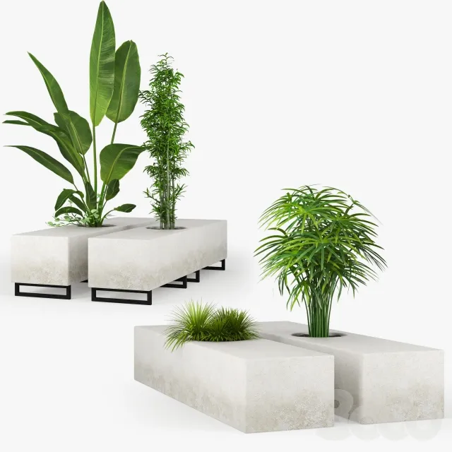 decoration - Plants 3D Model