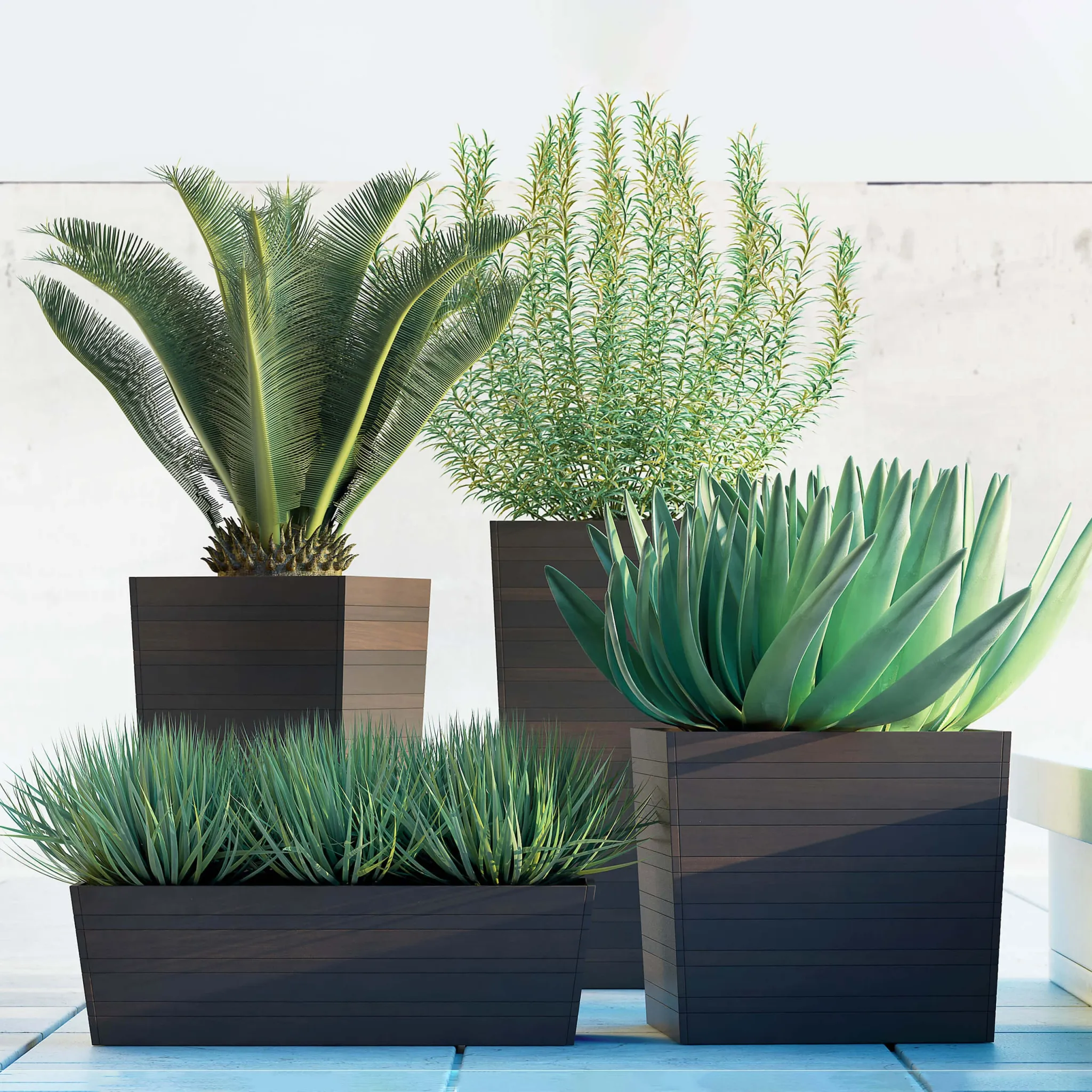 decoration - Plants 5055 3D Model