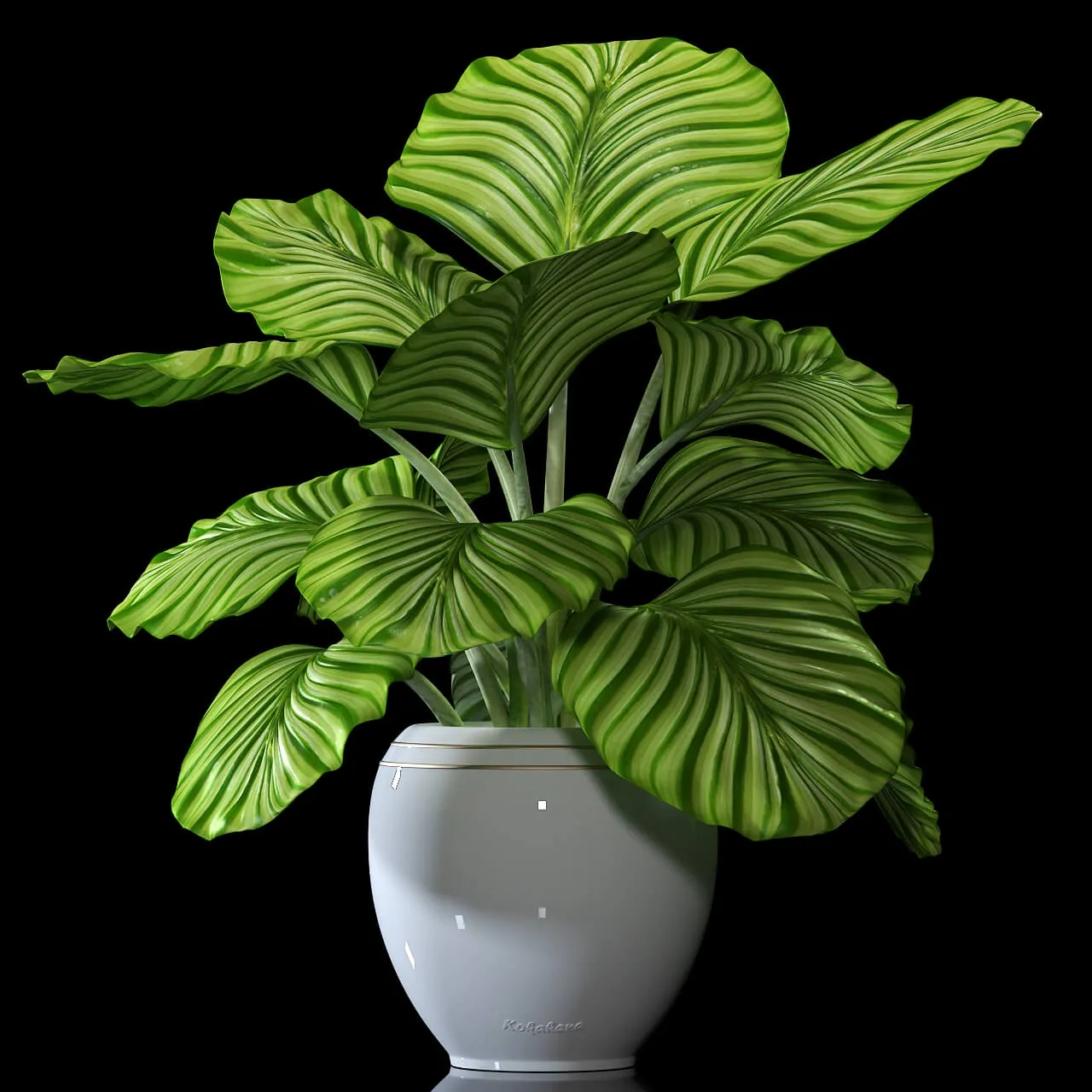 decoration - Plants 5062 3D Model