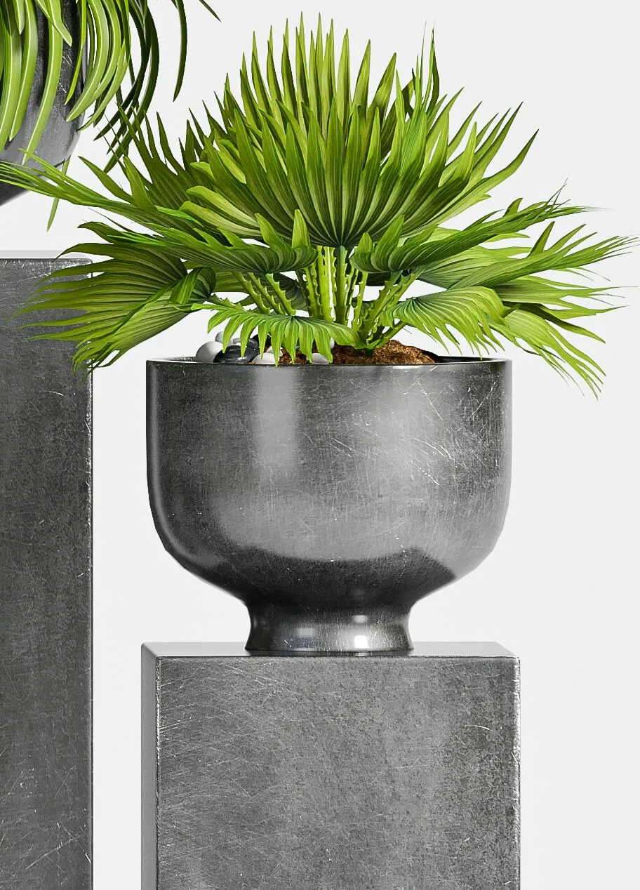 decoration - Plants-54 3D Model