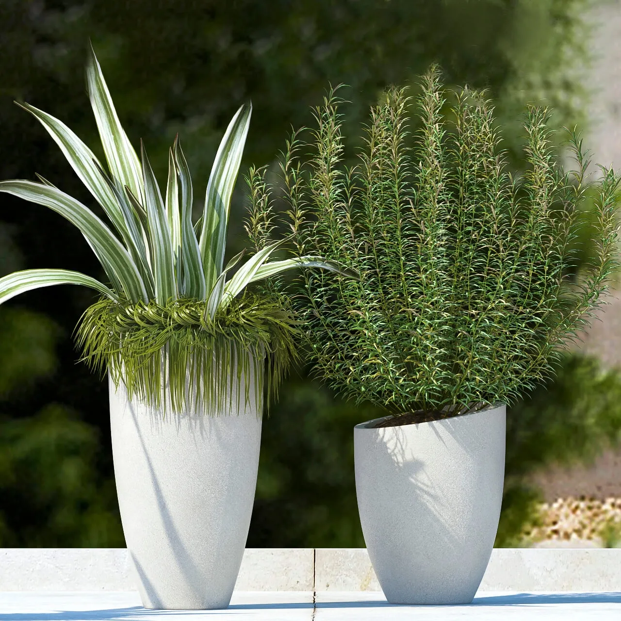 decoration - Plants 545 3D Model