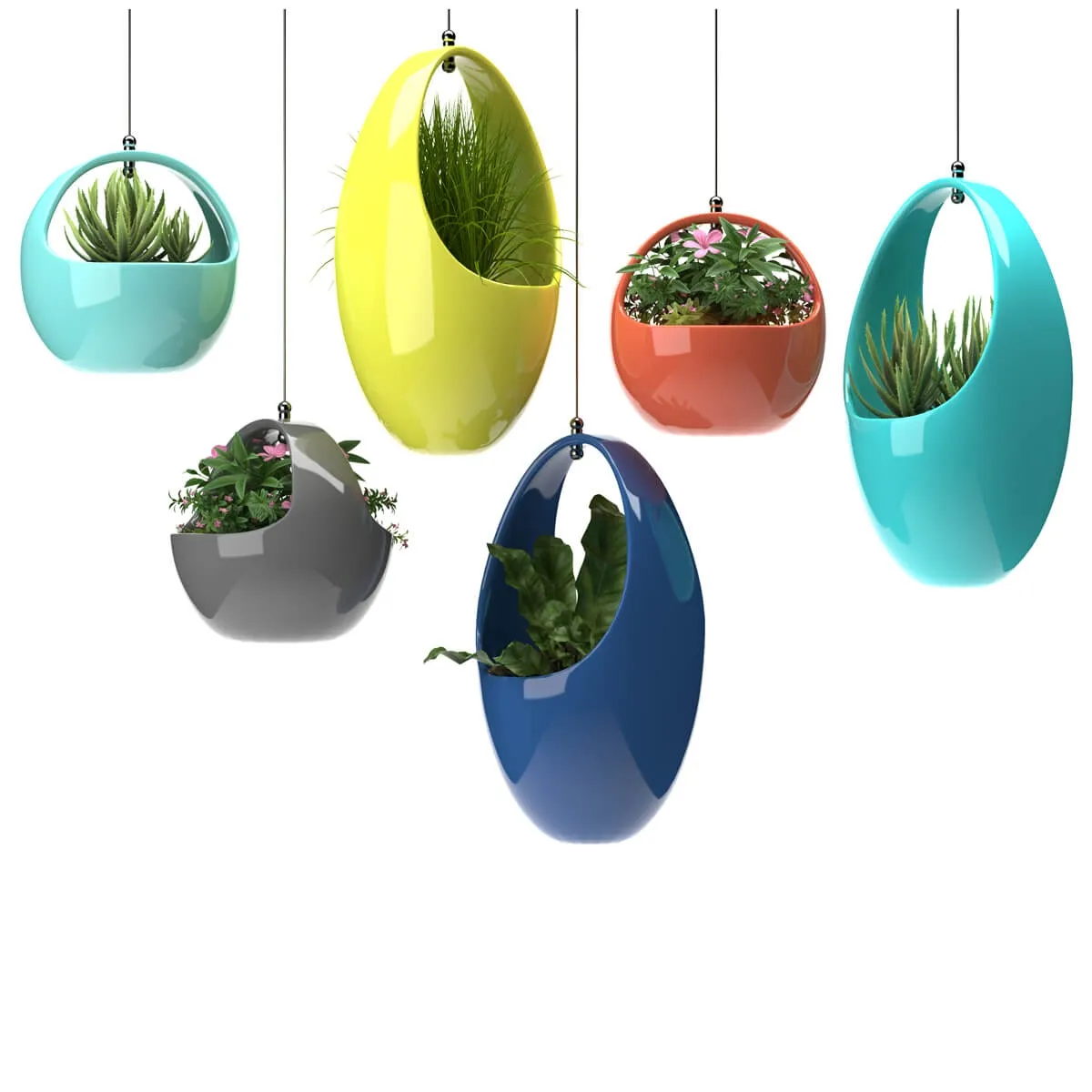 decoration - Plants 5656 3D Model