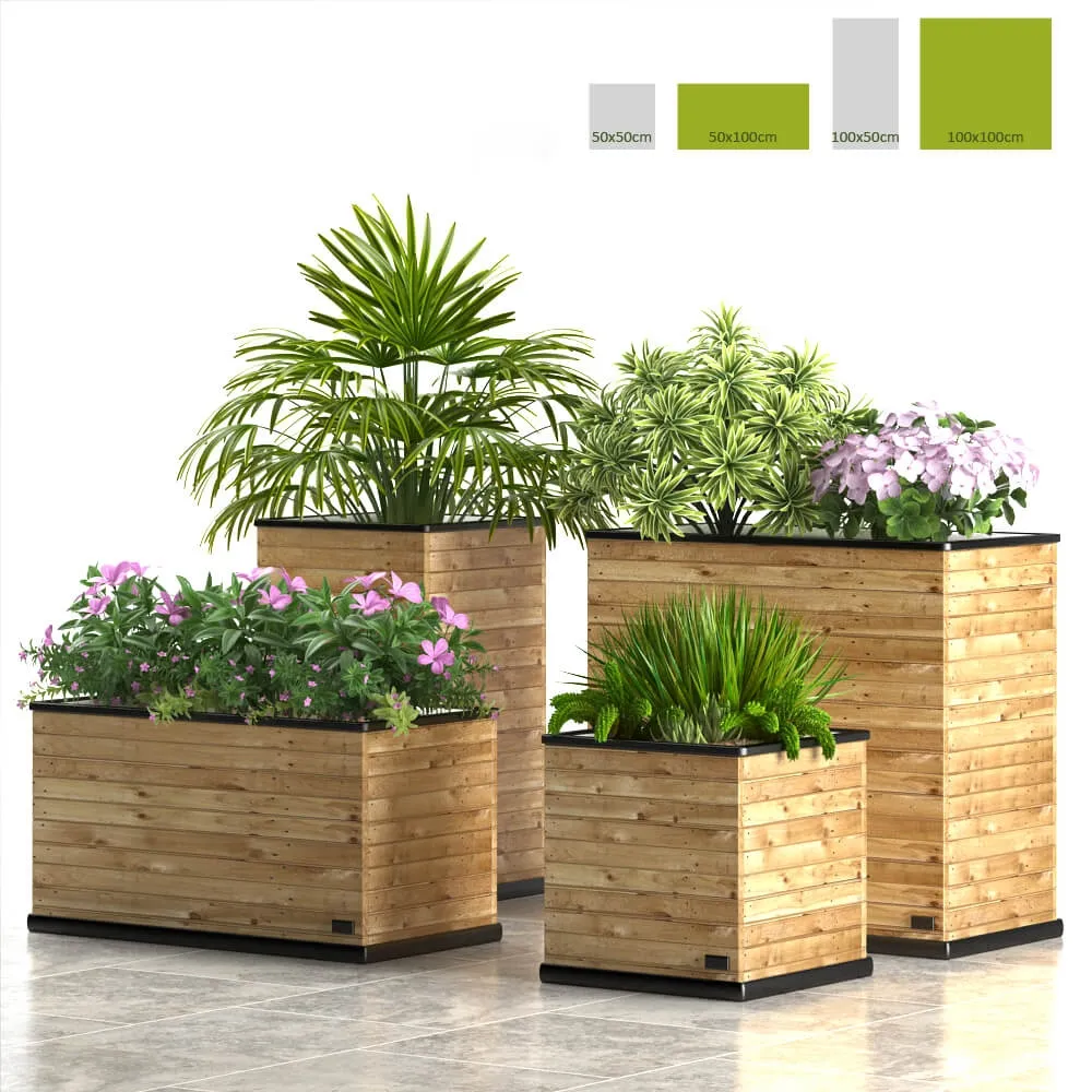 decoration - PLANTS 58 3D Model
