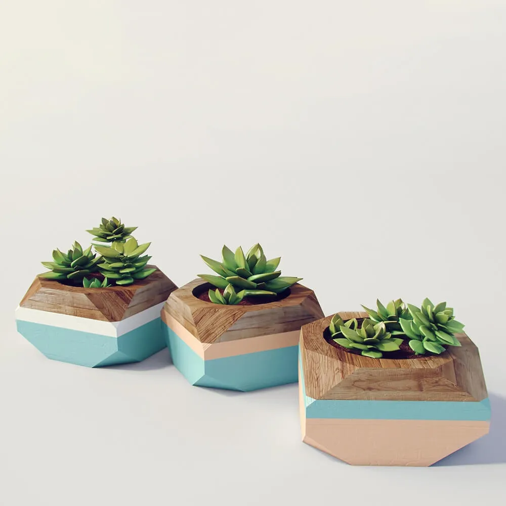 decoration - Plants 582 3D Model