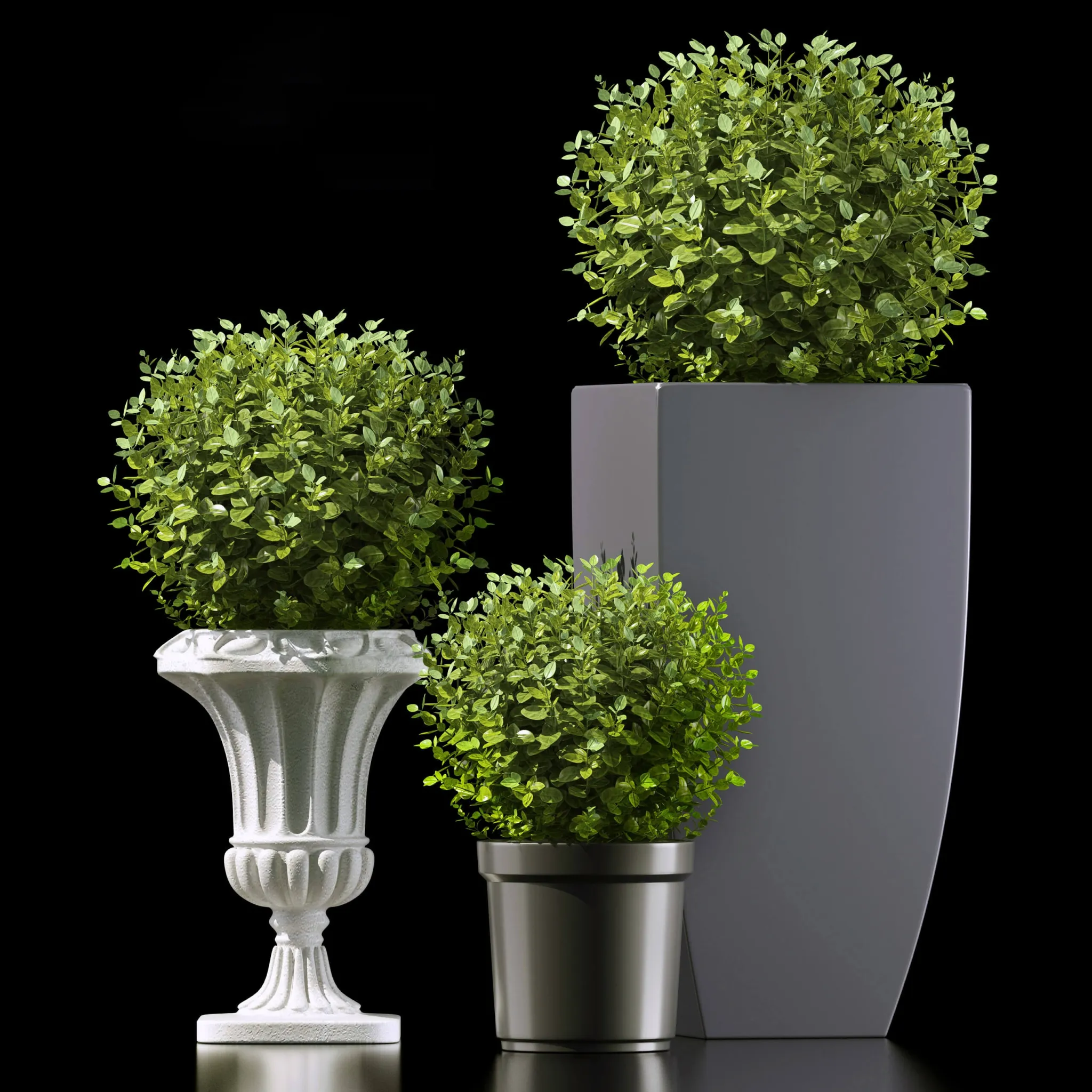 decoration - Plants  73 3D Model