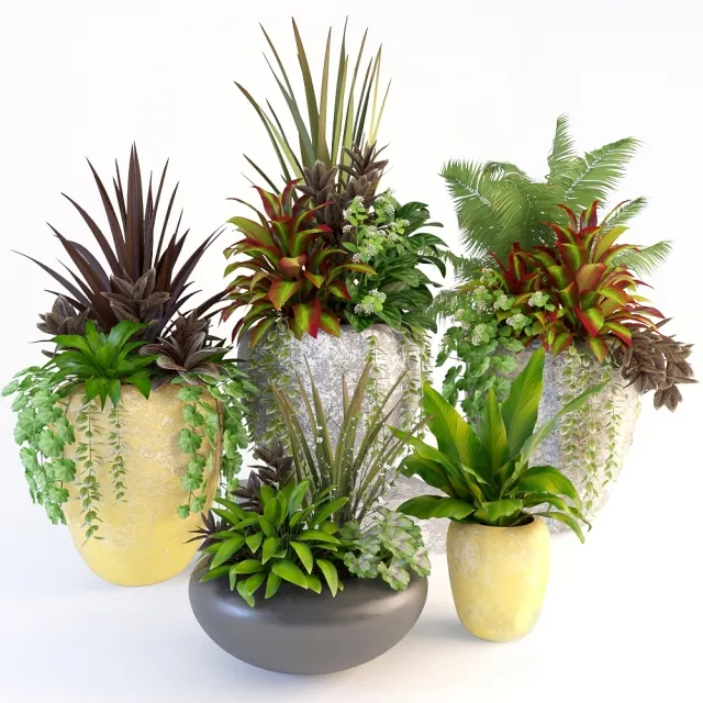 decoration - Plants 84 3D Model