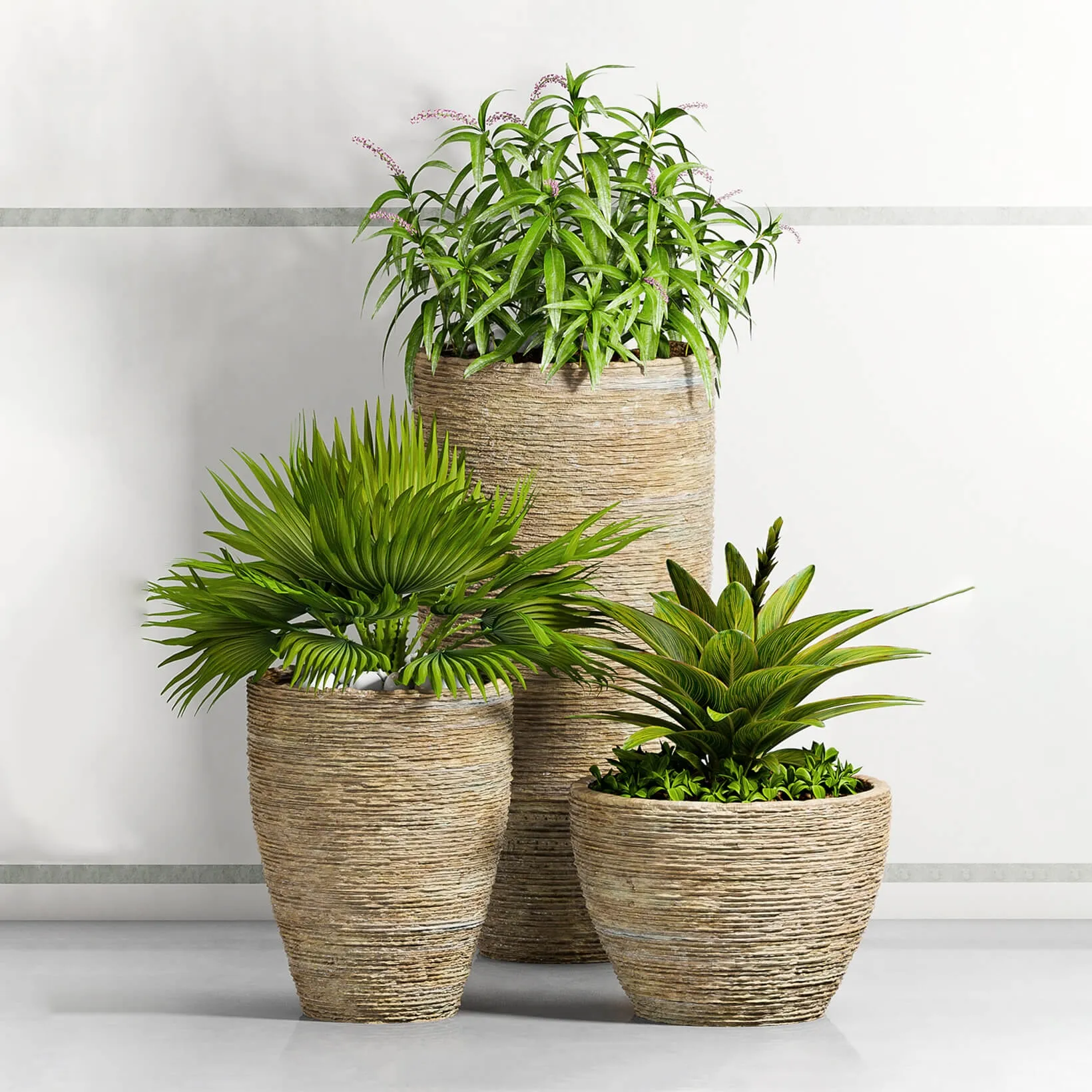 decoration - Plants 85 3D Model