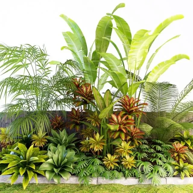 decoration - Plants 86 3D Model