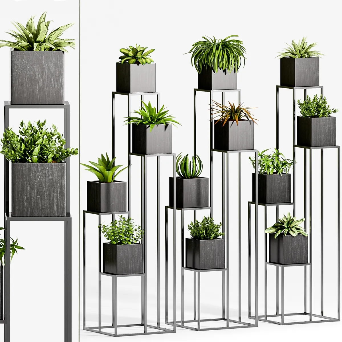 decoration - Plants 87 3D Model