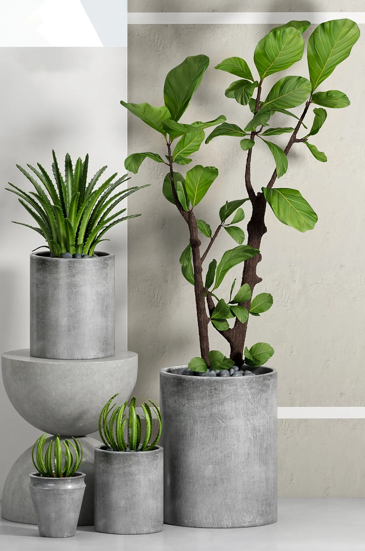 decoration - Plants 88 3D Model