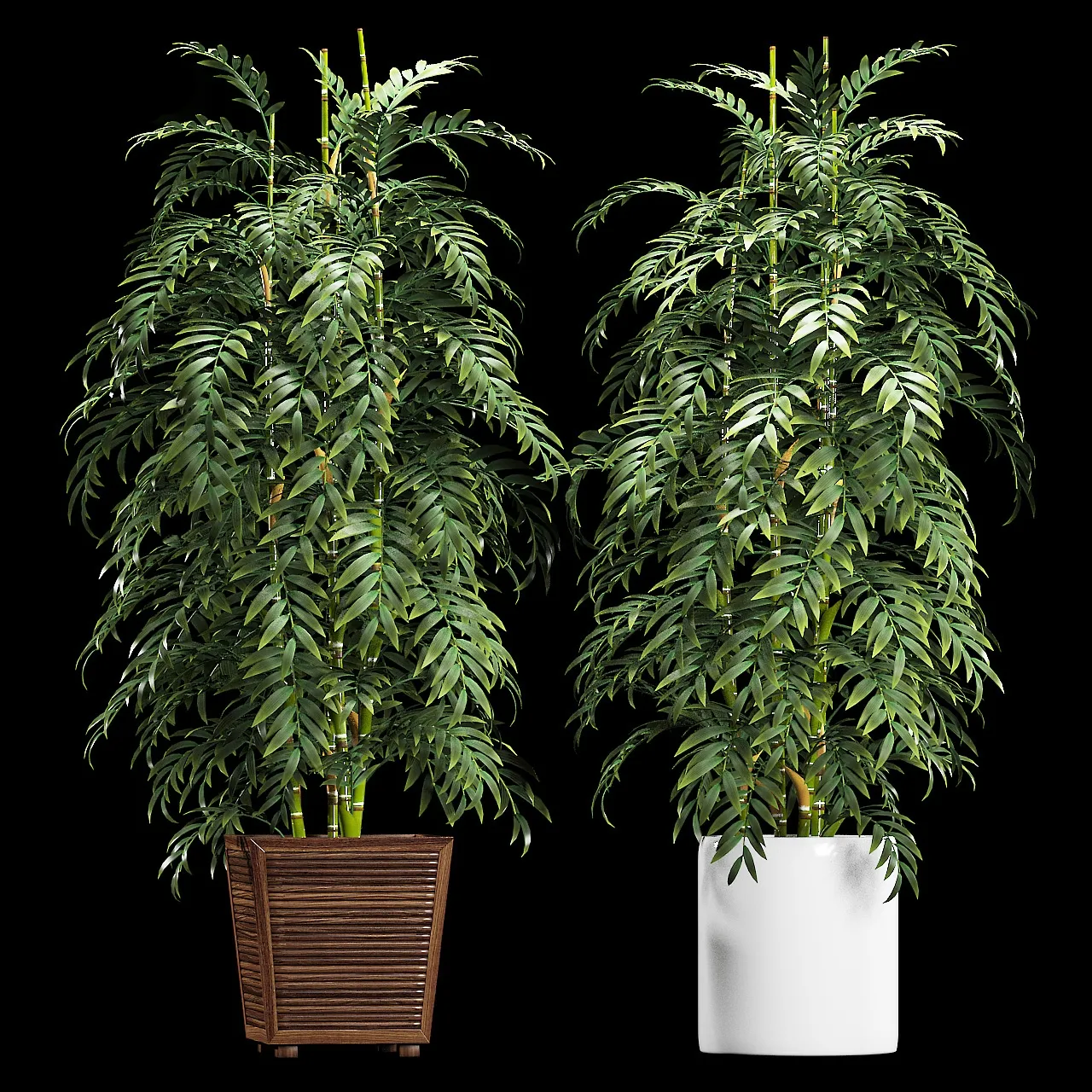 decoration - Plants 90 3D Model