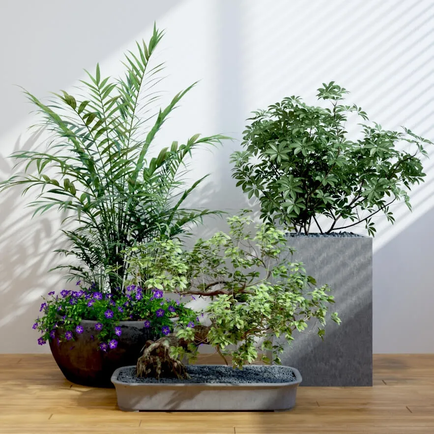 decoration - Plants 93 3D Model