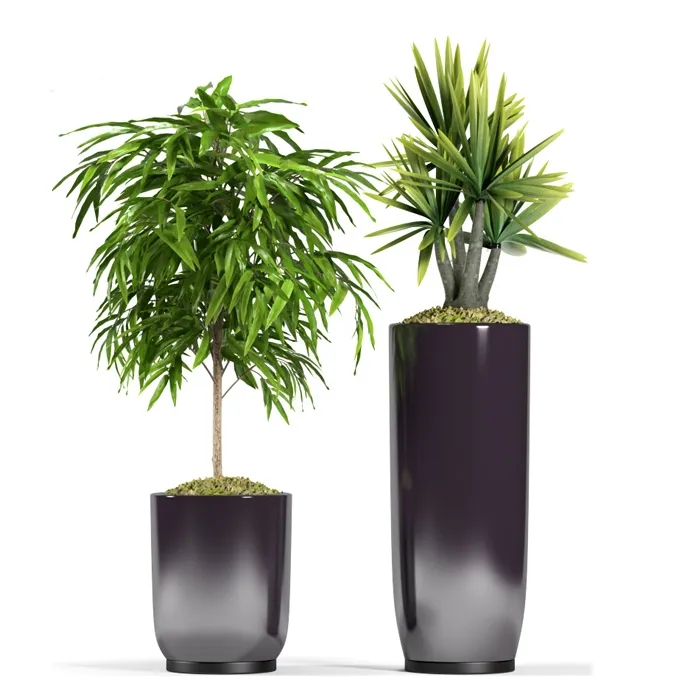 decoration - Plants 94 3D Model