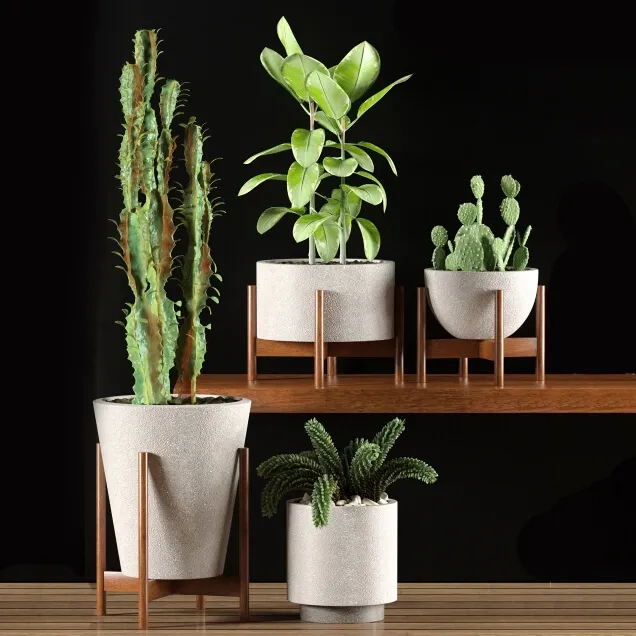 decoration - Plants 9836 3D Model