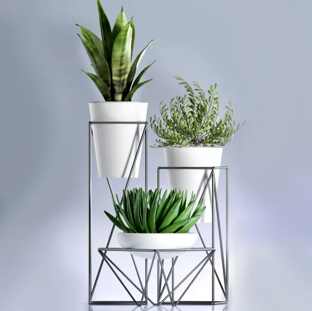 decoration - Plants 99 3D Model