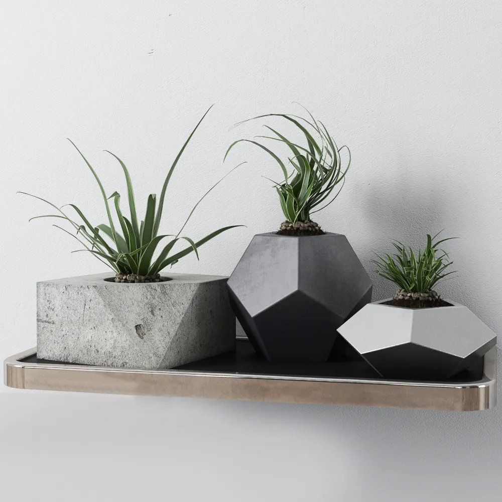 decoration - Plants 99 3D Model