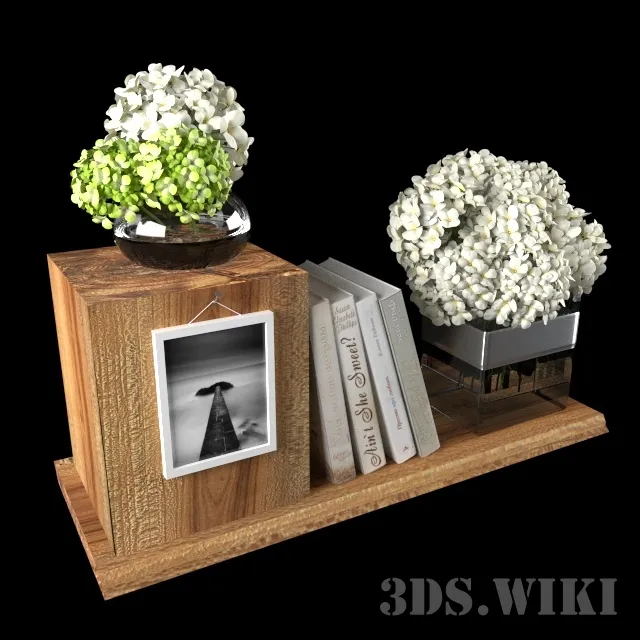 decoration - Plants Books and Other Items 3D Model