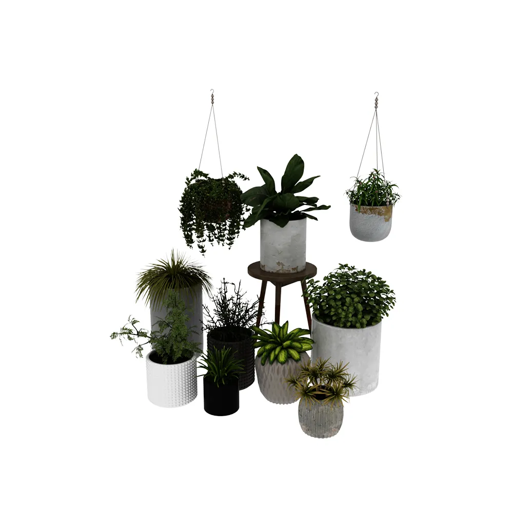 decoration - Plants collection 058 3D Model