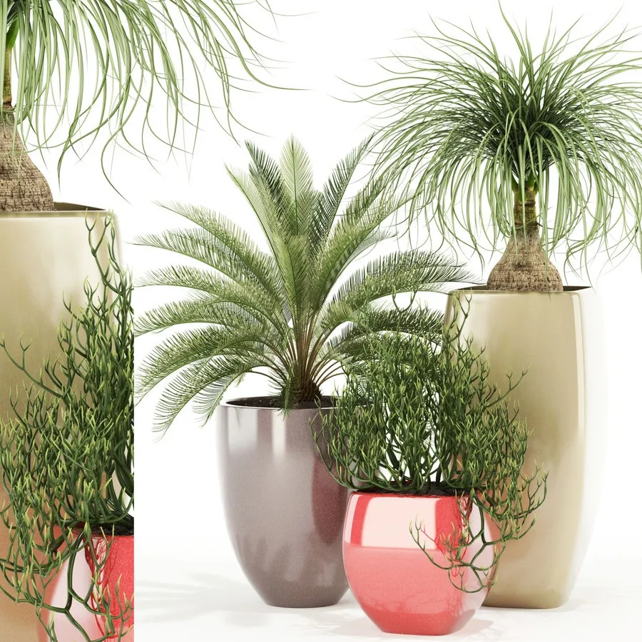 decoration - Plants collection 101 Awesome planters 3D Model