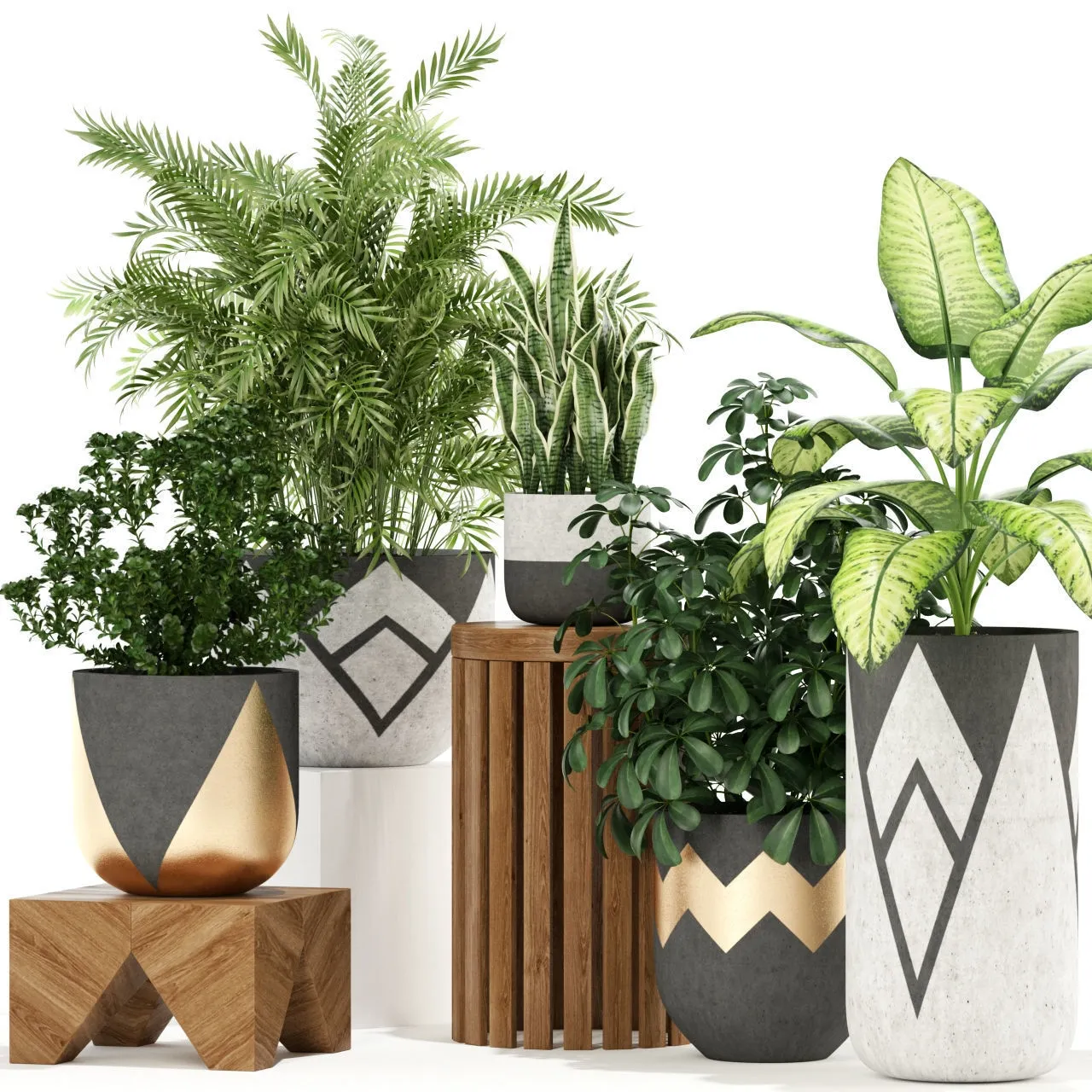 decoration - Plants collection 109 3D Model