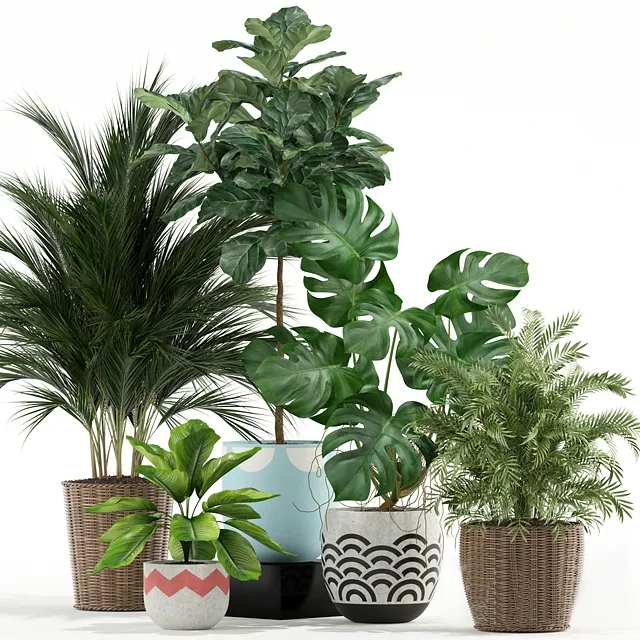 decoration - Plants collection 115 3D Model