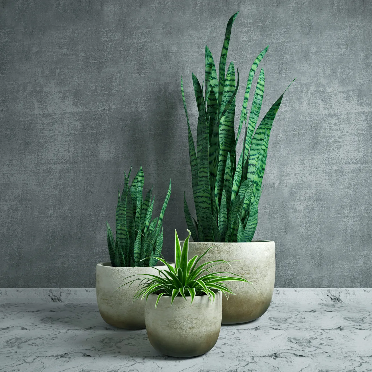 decoration - Plants collection 12 3D Model