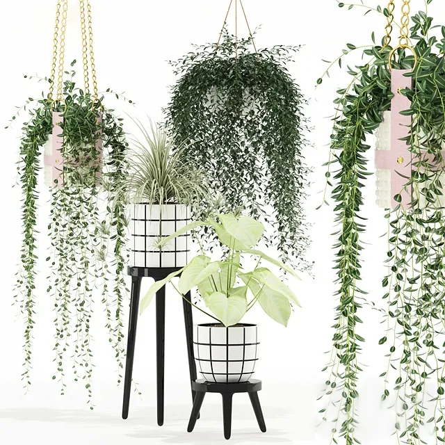 decoration - Plants collection 121 3D Model